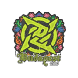 Sealed Graffiti | Ninjas in Pyjamas | Budapest 2025