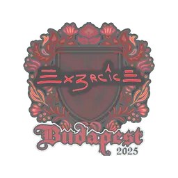 Sticker | Ex3rcice | Budapest 2025
