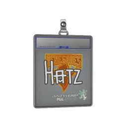 Sticker Slab | hatz | Antwerp 2022
