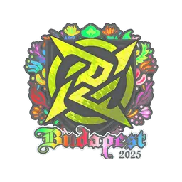 Sticker | Ninjas in Pyjamas (Holo) | Budapest 2025