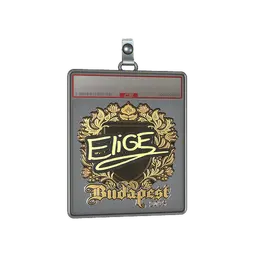 Sticker Slab | EliGE (Gold) | Budapest 2025