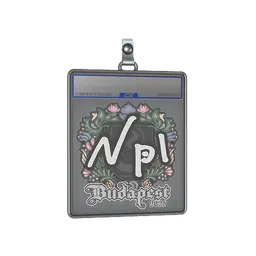 Sticker Slab | npl | Budapest 2025