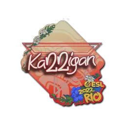 Sticker | karrigan | Rio 2022