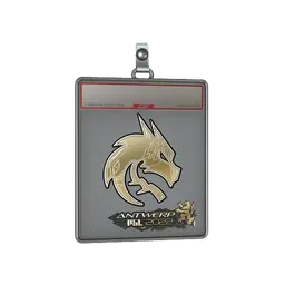 Sticker Slab | Team Spirit (Gold) | Antwerp 2022