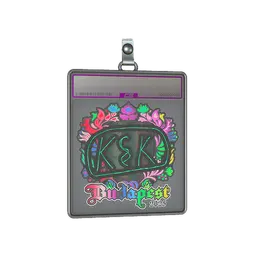 Sticker Slab | kyousuke (Holo) | Budapest 2025