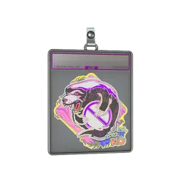 Sticker Slab | Outsiders (Holo) | Rio 2022