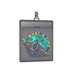 Sticker Slab | Wingsuit (Holo)