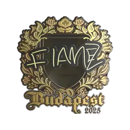Sticker | FlameZ (Gold) | Budapest 2025