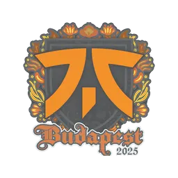 Sticker | fnatic | Budapest 2025