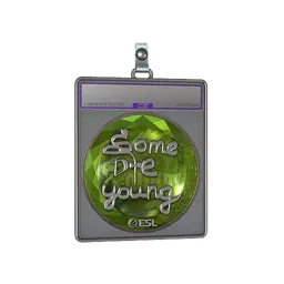 Sticker Slab | sdy (Foil) | Katowice 2019