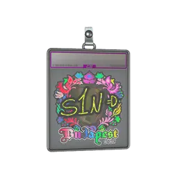 Sticker Slab | s1n (Holo) | Budapest 2025