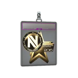 Sticker Slab | Team EnVyUs (Gold) | Cluj-Napoca 2015