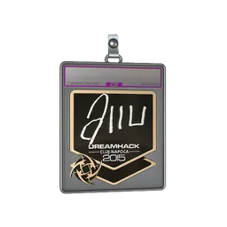 Sticker Slab | allu (Foil) | Cluj-Napoca 2015