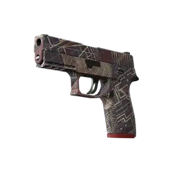 P250 | Facility Draft