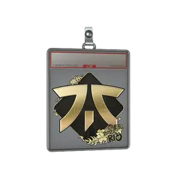 Sticker Slab | Fnatic (Gold) | Rio 2022