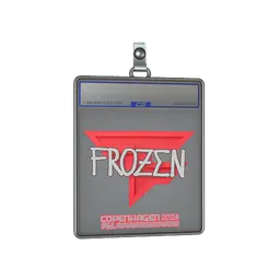 Sticker Slab | frozen | Copenhagen 2024