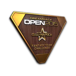 Bronze Cluj-Napoca 2015 Fantasy Trophy