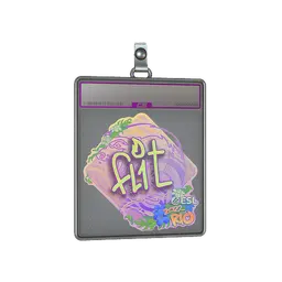Sticker Slab | FL1T (Holo) | Rio 2022