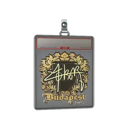 Sticker Slab | z4KR (Gold) | Budapest 2025