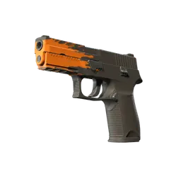 P250 | Splash