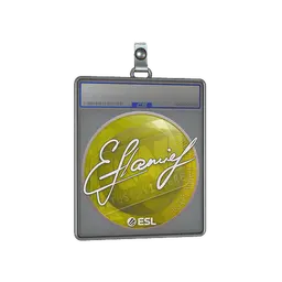 Sticker Slab | flamie | Katowice 2019