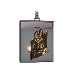 Sticker Slab | Misfits Gaming (Gold) | Boston 2018