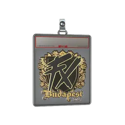 Sticker Slab | Fluxo (Gold) | Budapest 2025