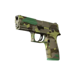 P250 | Boreal Forest