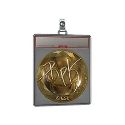 Sticker Slab | RpK (Gold) | Katowice 2019