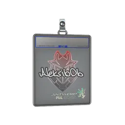 Sticker Slab | Aleksib | Antwerp 2022