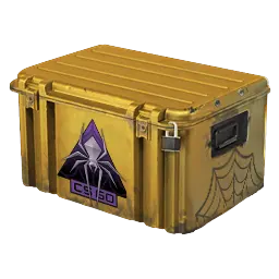 Shattered Web Case