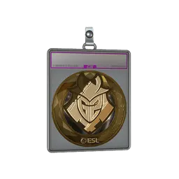 Sticker Slab | G2 Esports (Gold) | Katowice 2019