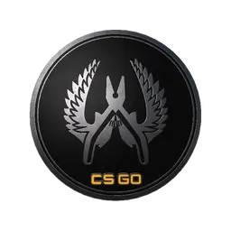 Guardian Elite Pin