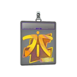 Sticker Slab | Fnatic (Holo) | Atlanta 2017