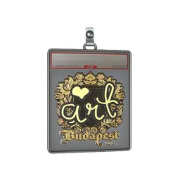 Sticker Slab | arT (Gold) | Budapest 2025