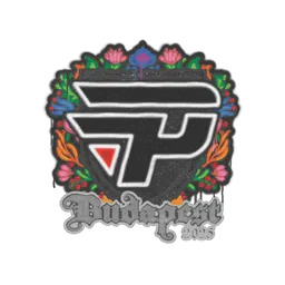 Sealed Graffiti | paiN Gaming | Budapest 2025