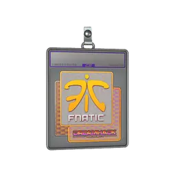Sticker Slab | Fnatic (Holo) | DreamHack 2014
