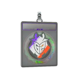 Sticker Slab | G2 Esports (Holo) | Katowice 2019