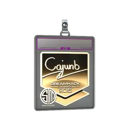 Sticker Slab | cajunb (Gold) | Cluj-Napoca 2015