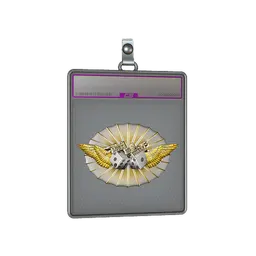 Sticker Slab | Luck Skill (Foil)