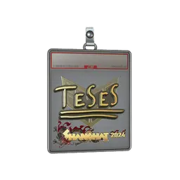 Sticker Slab | TeSeS (Gold) | Shanghai 2024