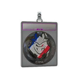 Sticker Slab | G2 Esports (Foil) | Katowice 2019