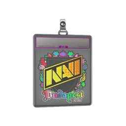 Sticker Slab | Natus Vincere (Holo) | Budapest 2025