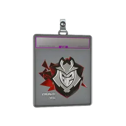 Sticker Slab | G2 Esports (Foil) | Cologne 2016