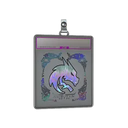 Sticker Slab | Team Spirit (Holo) | Austin 2025