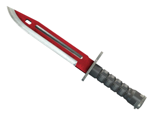 ★ Bayonet | Autotronic float preview