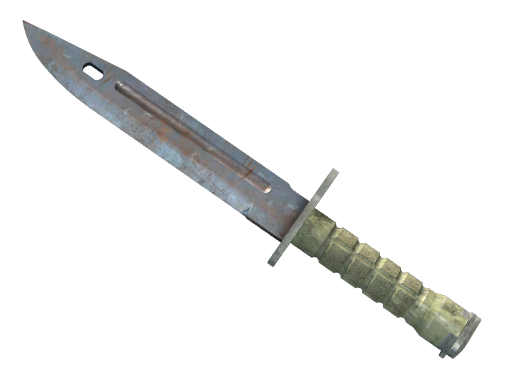 ★ Bayonet | Rust Coat float preview