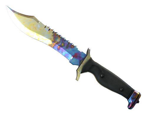 ★ Bowie Knife | Case Hardened float preview
