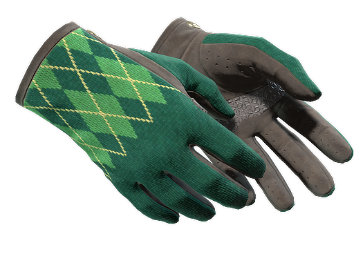 ★ Driver Gloves | Hand Sweaters float preview