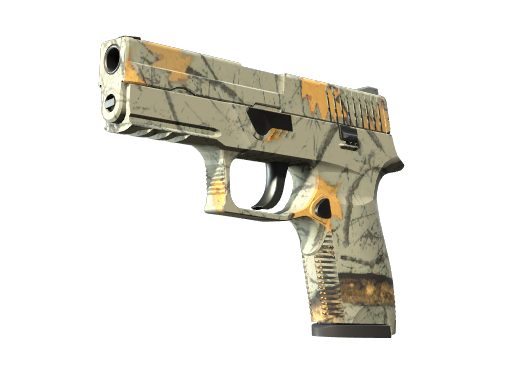 P250 | Modern Hunter float preview